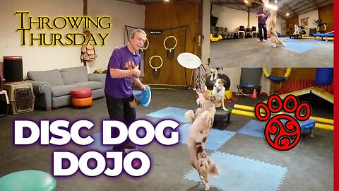 Throwing Thursday: Antonis Co-hosts, Disc Quan Do, Juggling & More | DiscDog Dojo #136 🐶🥏🥋🎯