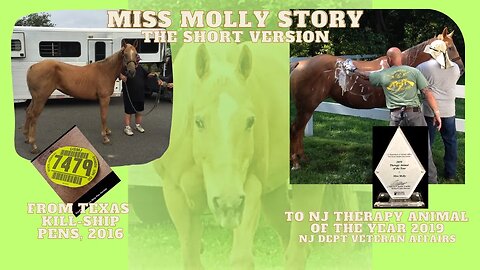 NJVH-017: Miss Molly's Story, The Short Version