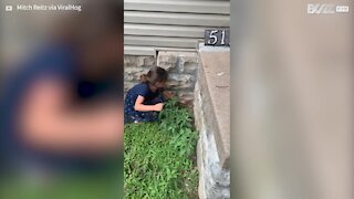 Girl tries to help frog but it all ends badly!