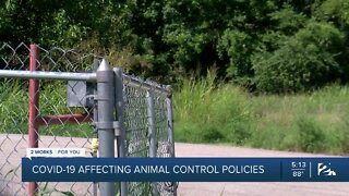 COVID-19 impacts animal control policies