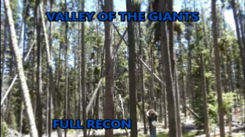 World Bigfoot Radio #120 ~ Valley of the Giants Recon/ Team MBP & Papa C