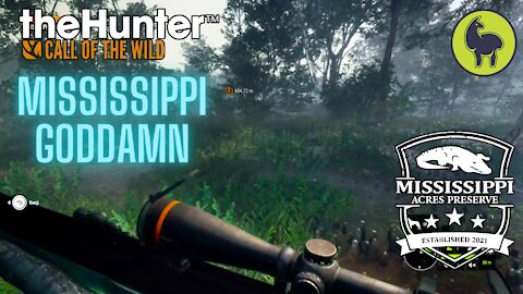 The Hunter: Call of the Wild, Mississippi Goddamn, Mississippi Acres (PS5 4K)