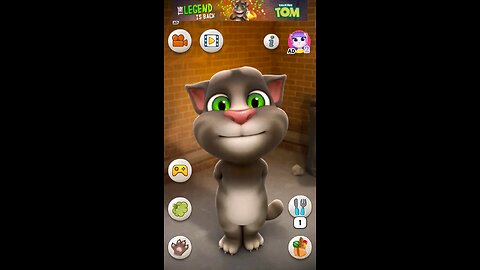 Talking Tom cat video