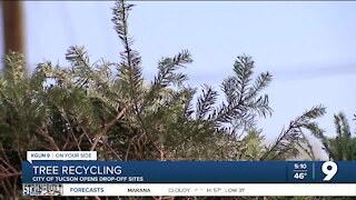 Christmas tree recycling encouraged by the City of Tucson