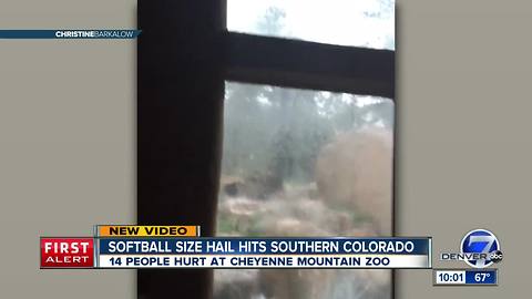 14 people injured, 2 zoo animals killed in hailstorm at Cheyenne Mountain Zoo in Colorado Springs
