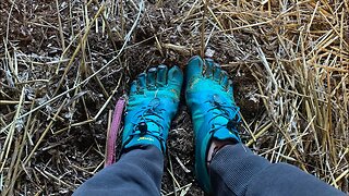 Working on the farm 🐴//first time trying barefoot shoes 👣