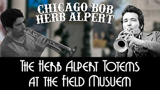 The Herb Alpert Totems at the Field Museum