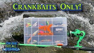 Creek Fishing with Only Crankbaits for Smallmouth! (Topwater)