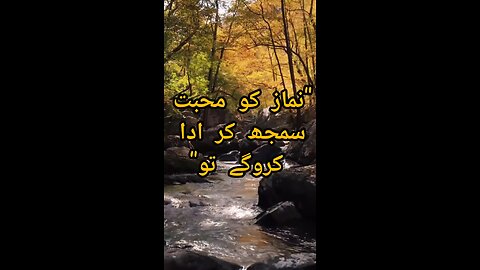 نماز سے محبت: دل کی سکون کی راہ""Namaz Se Mohabbat💘 shorts video / king khan 797"