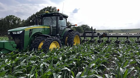 Ridging Corn | Prepping Gravity Irrigation