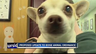 Boise City Council member proposes change to city animal code