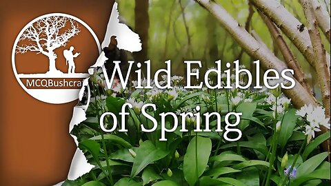 Bushcraft Foraging Wild Edibles of Spring