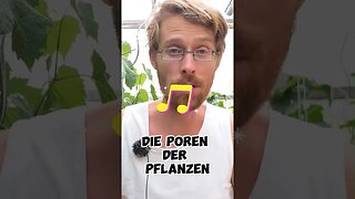 musik als Dünger für Pflanzen #shorts