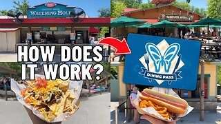 Easy Guide To Dollywood's Splash Country Water Park Dining Pass