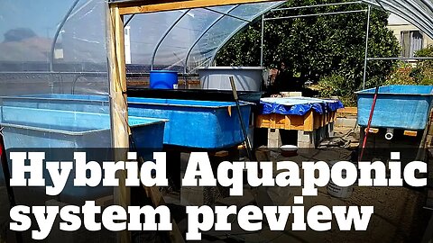 Aquaponics system preview (Hybrid aquaponic system)