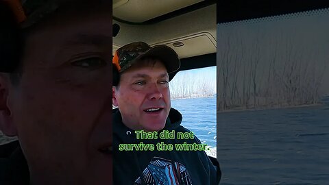 Millions Of Fish Died This Winter!!