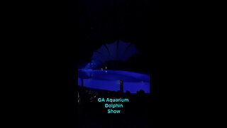 Dolphin Show at Georgia Aquarium