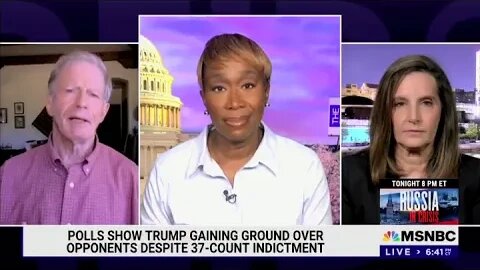 Joy Reid and Lincoln Project’s Stuart Stevens 'Ron DeSantis worse than Donald Trump' | The ReidOut