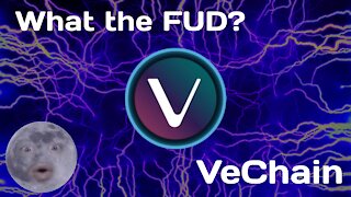 What is VeChain? VeChain (VET) and VeThor (VTHO) explained! | What the FUD Episode 6