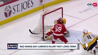 Dylan Larkin's injury isn't long-term