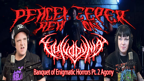 Vulvodynia - Banquet of Enigmatic Horrors Pt. 2 Agony