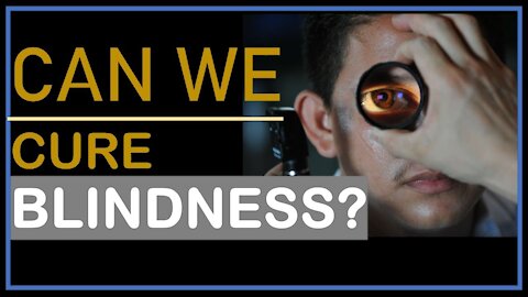 Can we cure Blindness?
