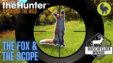 The Hunter: Call of the Wild, Sommer- The Fox and the Scope, Hirschfelden (PS5 4K)