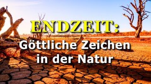 196 - Göttliche Zeichen in der Natur.