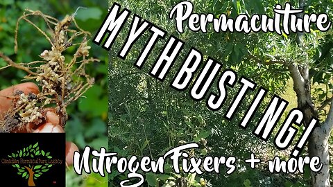 Expert section - MYTHBUSTING - Nitrogen fixers and Deep Tap Rooted Nutrient Accumulators