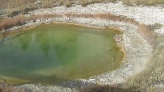 Walking on the boardwalk of Yellowstone's Upper Geyser Basin