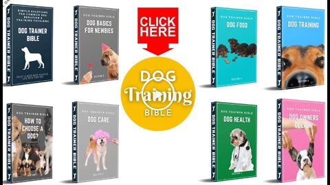 Basic Dog Training - TOP 10 Essential Commands Every Dog Should Know! Funny Dogs
