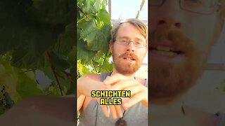 Hügelbeet - Das beste Beet im Garten #shorts