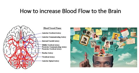 How to Increase Blood Flow to the Brain