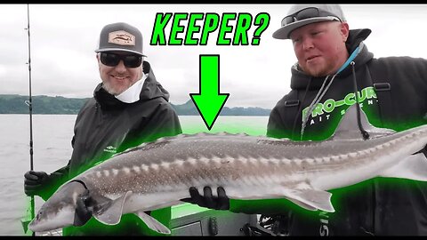 ULTIMATE Columbia River Keeper Sturgeon Fishing BEATDOWN!! | Addicted Life Ep. #42