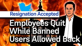 Twitter Employees Resign While Elon Musk Brings Back Banned Users, Calculated Chaos is Back!