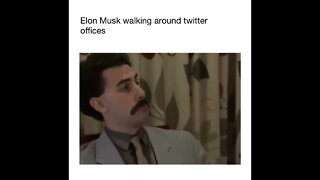 Elon Musk walking around twitter offices #shorts #twitter #elonmusk