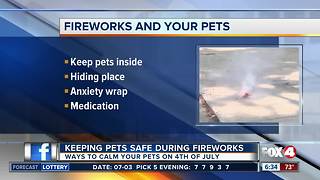 How to calm your pets during fireworks