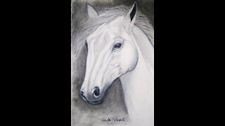 I Draw A Horse Drawing Black - White