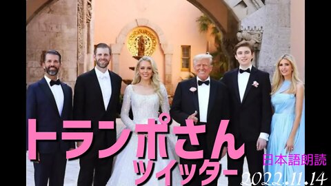 トランポさんツイッターをお楽しみください💗🍾✨🐯[日本語朗読]041114