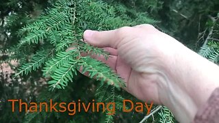 Thanksgiving Day vlog / A walk in the park / a slow day / Bible reading