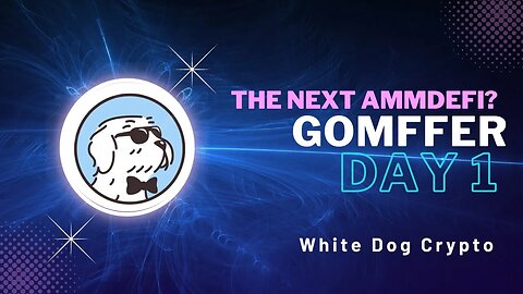 AMMDefi 2.0? Gomffer Day 1 - Update and live demonstration - White Dog Crypto. Is it a scam?