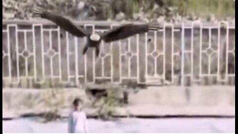 THAT WAS CLOSE AND SCARY🦅😳