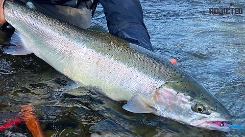 LATE Winter STEELHEAD Fishing With @NWFishingSecrets