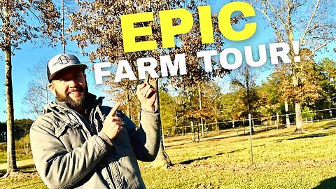 Building A Survival Homestead - FULL FARM TOUR