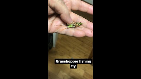Grasshopper (green)