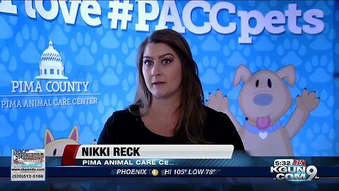 Animal care staff urge pet owners to register pet microchips