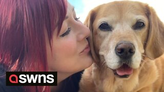 Woman quits job so she can spend time with her terminally ill dog to complete a bucket list