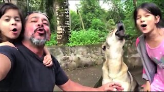 Dog pours his entire heart into howling performance with his family