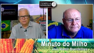 Milho com risco de atraso na safrinha