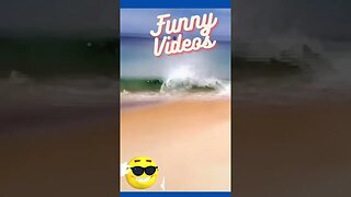 Funny videos #shorts